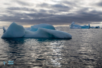 Péninsule antarctique - Rochers d’Hygruga, détroit de Gerlache.