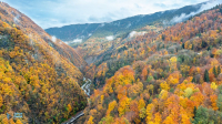 Gorges de l'Arly