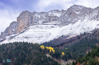 Le Vercors-Roche Rousse-près du col des 2