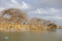 Lac Baringo.