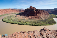 Le Colorado à Canyonlands.