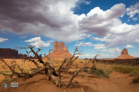 Monument valley.