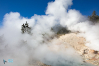 Yellowstone.