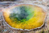 Yellowstone U.S.A.