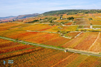 Bourgogne..