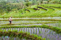 Sidemen. Bali..