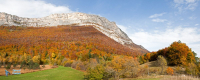 Tourbière du Peuil de Claix .