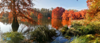 Etang de Boulieu