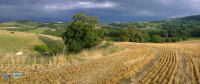 Dionnay-Isère