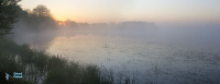Etang de la Dombes. Ain