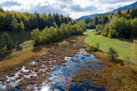 Tourbière du Peuil