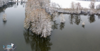 Etang de Boulieu