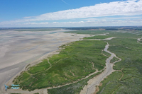 Baie de Somme
