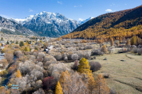 Vallée de la Clarée-Névache
