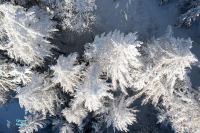 DJI_0909