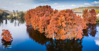Etang de Boulieu