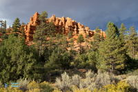 Bryce canyon.