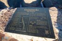 Goosenecks, le cou d'oie