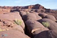 Canyonlands