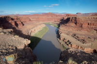 Le Colorado à Canyonlands