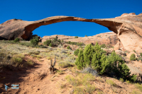 Arches