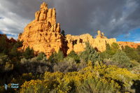 Bryce canyon.