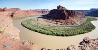 Le Colorado à Canyonlands.