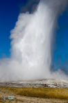 Yellowstone U.S.A.