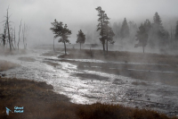 Yellowstone U.S.A.