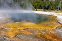 Yellowstone U.S.A.