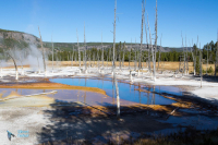 Yellowstone U.S.A.