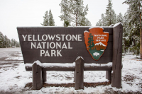 Yellowstone U.S.A.