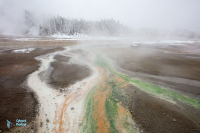 Yellowstone U.S.A.