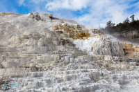 Yellowstone U.S.A.