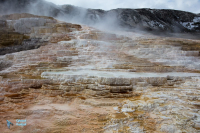 Yellowstone U.S.A.