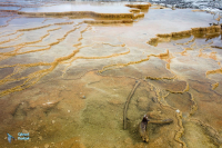 Yellowstone U.S.A.