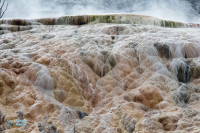 Yellowstone U.S.A.