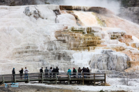 Yellowstone U.S.A.
