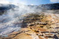 Yellowstone U.S.A.