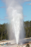 Yellowstone U.S.A.