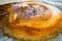 Yellowstone U.S.A.