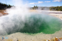 Yellowstone U.S.A.