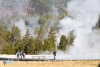 Yellowstone U.S.A.